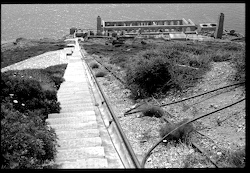 Vista delle Laverie Lamarmora con la scalinata e il binario della teleferica