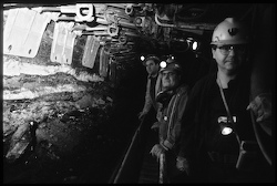 Minatori al lavoro e filone di carbone